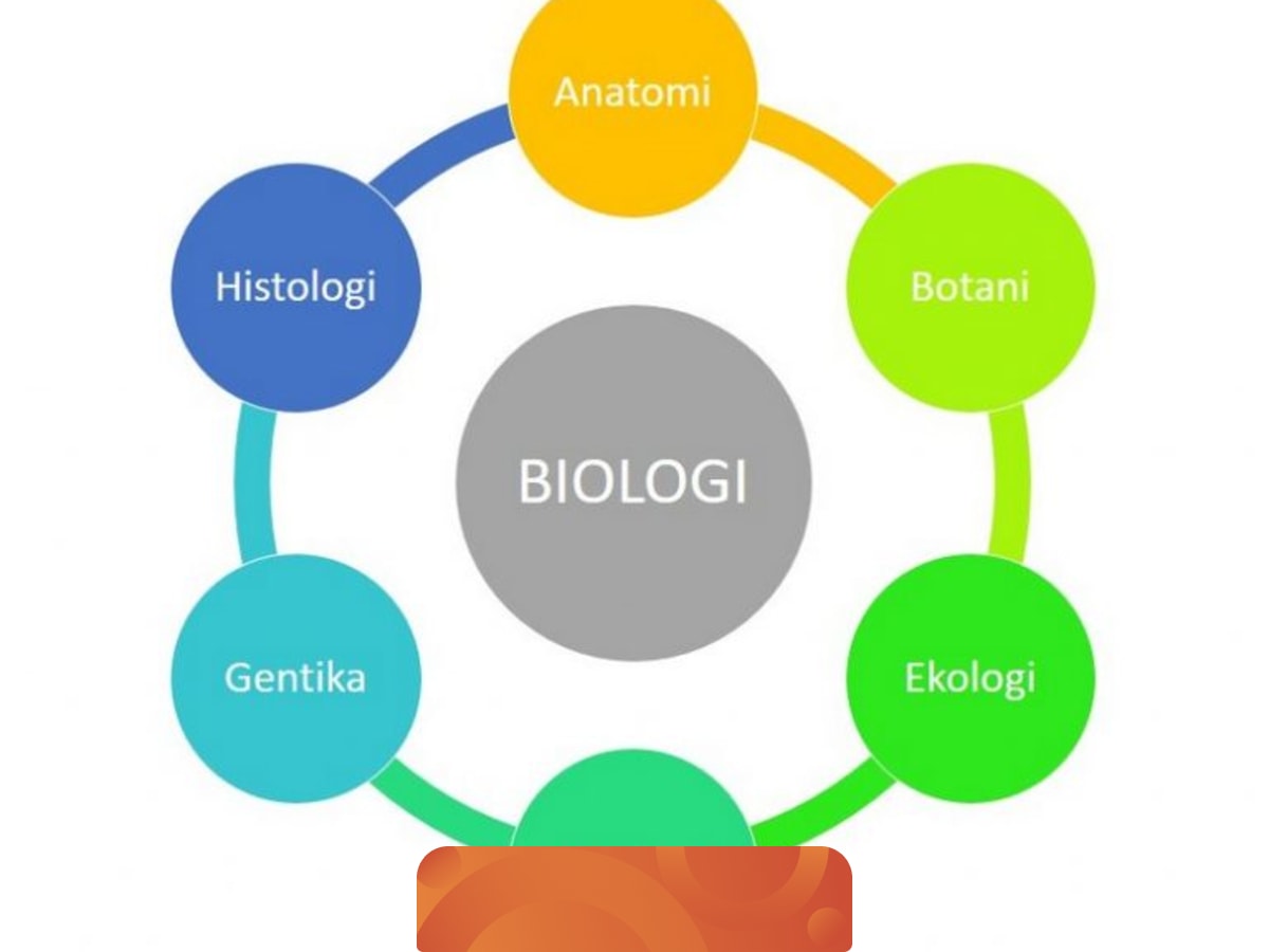  Zoologi  Adalah Salah Satu Cabang Ilmu Biologi Yang 